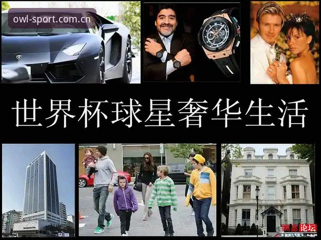 猫头鹰体育世界杯，如何让你用46.3MB的App看穿赛场变幻？