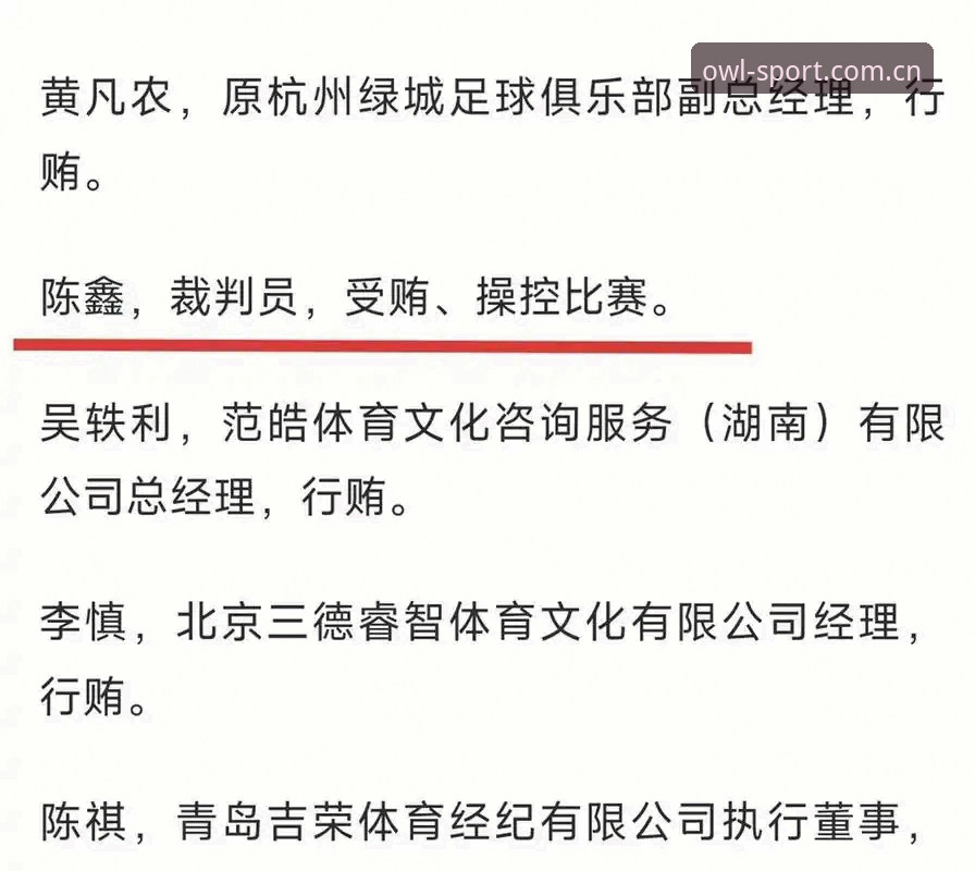 中国足协第三批禁足名单公布，如何通过猫头鹰体育官网追踪赛事动态？
